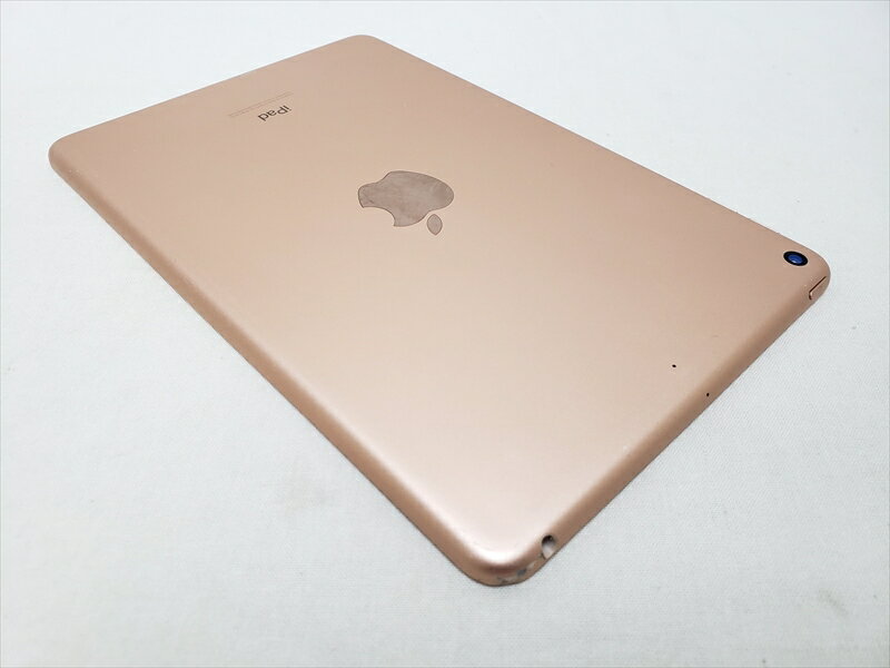 (���) iPad mini����5����/2019�� Wi-Fi 256GB ������� MUU62X/A