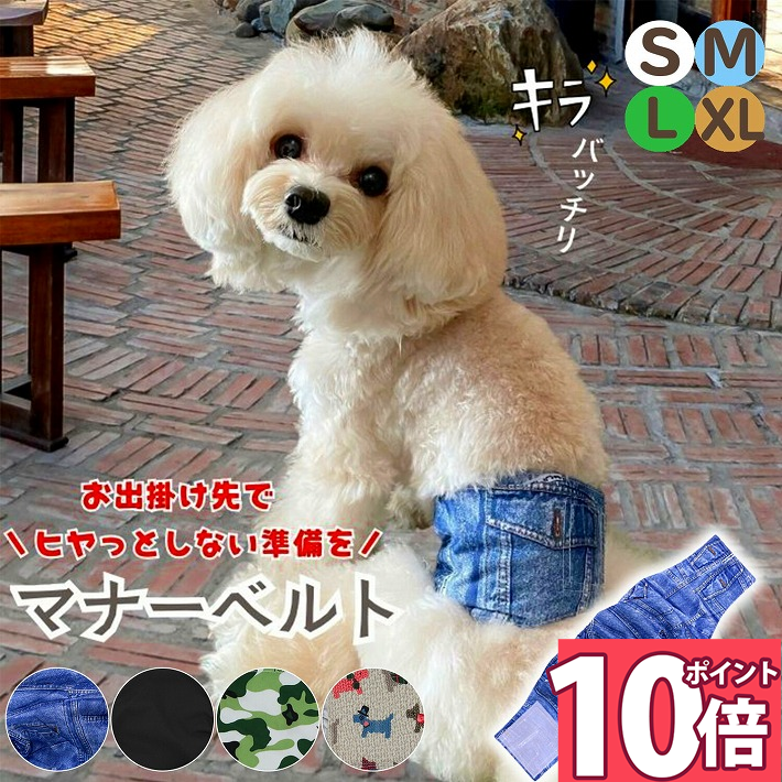 楽天市場】チワワ（マナーベルト｜トイレ用品）：犬用品<ペット
