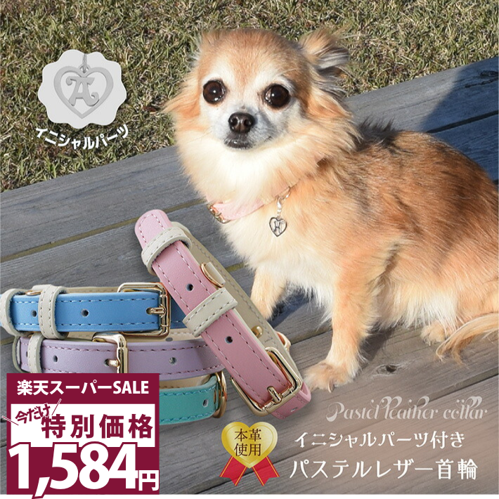 inuno リード 首輪 チャームの3点セット 楽天市場】イニシャル チャーム（首輪・胴輪・リード｜犬用品