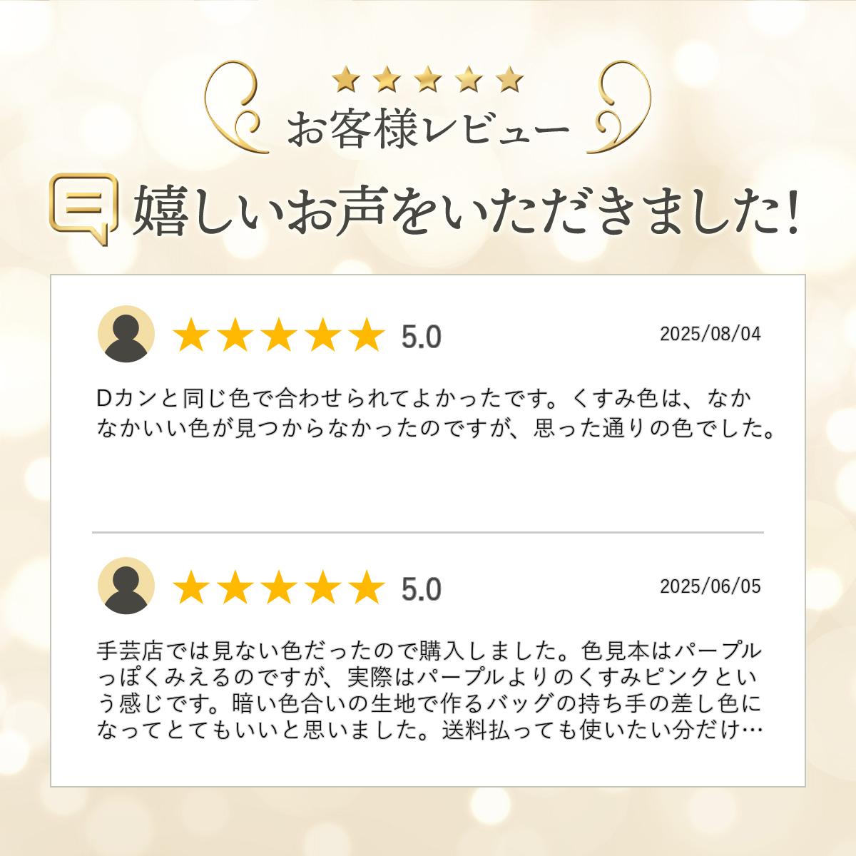 �������� ���� ������ơ��ס�25�ߥ� �������ơ��סۥ��顼�ơ��� (#225)10cmñ���ڤ���� ��å���Хå� �Хå������� ������ ����Хå�