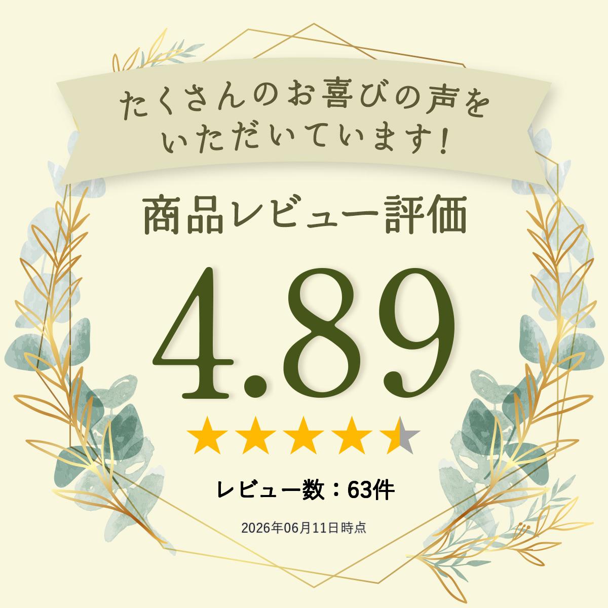 レース 生地 刺繍 日本製≪スカラップ刺しゅうレース ワッシャー ≫(4556)【10cm単位...