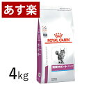 【15時まであす楽対応】 ロイヤルカナン 猫用 腎臓サポート スペシャル 4kg 療法食 猫 ペット フード 【正規品】【月曜 土曜は15時 日曜は12時までのご注文で翌日のお届け】