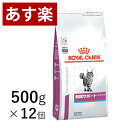  ロイヤルカナン 猫用 腎臓サポート スペシャル 500g×12個 ケース売り 療法食 猫 ペット フード 