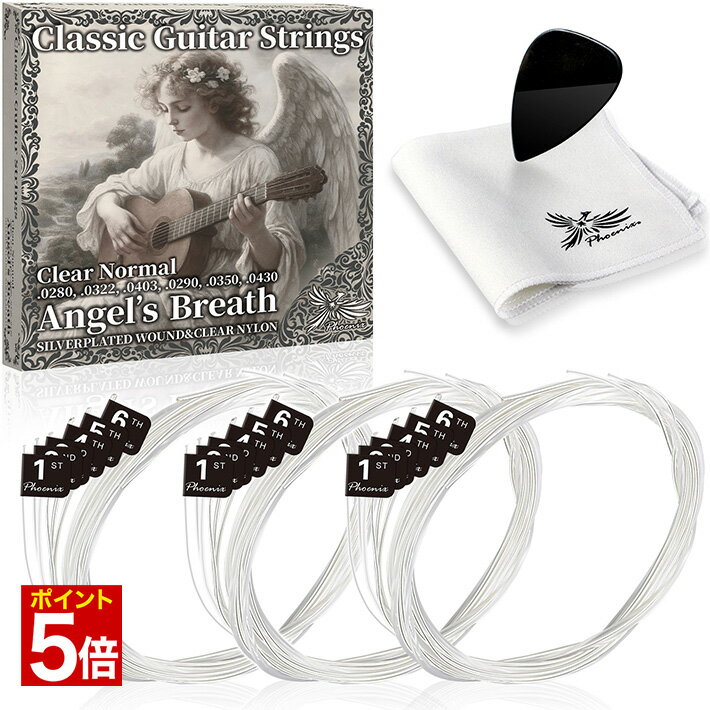 ダダリオ クラシックギター弦（Titanium Trebles Normal Tension） EJ45TT D'Addario　PRO-ARTE DYNACORE