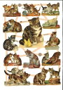 ドイツ製 クロモス☆キジトラと蝶々 子猫 動物☆(Katzen)デコパージュ コラージュ スクラップピクチャー ダイカット エンボス アンティーク