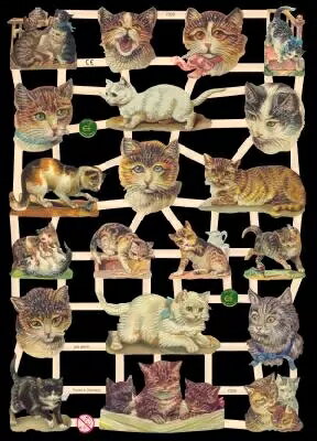 ドイツ製 クロモス☆猫の顔 キャット 子猫 動...の紹介画像2