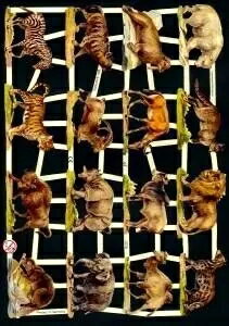 ドイツ製 クロモス☆野生の動物 ゾウ シマウマ ヒョウ ライオン ラクダ☆(wilde Tiere)デコパージュ コラージュ スクラップピクチャー ダイカット エンボス アンティーク 2