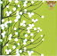 marimekko ޥå İ ڡѡʥץ ǥѡLUMIMARJA light green1/Х