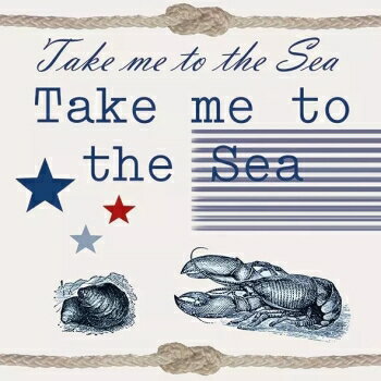  Ambiente Ũ ڡѡʥץ ǥѡ򳤤ϢƹԤä å ֥  ơ(Take Me To The Sea)1/Х