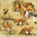 オランダ Ambiente 素敵な ペーパーナプキン デコパージュ☆キツネの肖像画 動物☆(Portraits Of Foxes)(1枚/バラ売り)