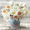 Pippy 2Ź㤨Maki Pol-Mak ڡѡʥץ ǥѡ̿ 򤤿ȥޥå Cup Full of White Daffodils1/ХˡפβǤʤ57ߤˤʤޤ