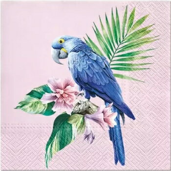 Paw 可愛い ペーパーナプキン デコパージュ☆エキゾチックなオウム 鳥 動物☆(Exotic Parrot)（1枚/バラ売り）