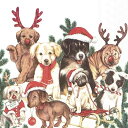 IHR ペーパーナプキン ☆DOG-MAS☆(20枚入り)犬 クリスマス パグ ダックスフンド ラブラドール パグ ボーダーコリー シャーペイ 可愛い お洒落 ...