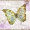 Pippy 2Ź㤨֥ Ambiente Ũ İ ڡѡʥץ ǥѡ奢ƥĴХե饤ȱѻ 졼 ĳ (Papillon1/ХˡפβǤʤ57ߤˤʤޤ