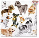 Paw ペーパーナプキン デコパージュ☆ドッグハピネス 可愛い犬☆(Dogs Happiness)(1枚/バラ売り)
