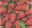 Paw İ ڡѡʥץ ǥѡ̿ȥ٥꡼  ե롼 ʪ(Raw Strawberries)1/Х