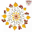 Paper+Design ペーパーナプキン デコパージュ☆葉っぱとベリー 小枝 木の実 花☆(Leaves and Berries)(1枚/バラ売り)