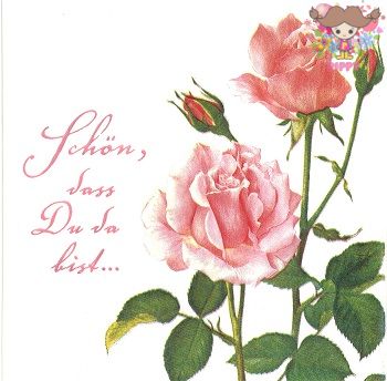 IHR �ڡ��ѡ��ʥץ����A ROSE FOR YOU����20��������� �Ф� �Х� ������ �ѻ� ���� �ǥ��ѡ����� �İ��� ��Ũ ��ޯ�� ���� ���쥬���...