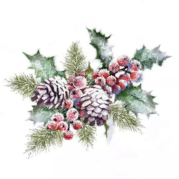Ambiente ペーパーナプキン☆ Holly and berries ☆ （1枚/バラ売り） クリスマス ヒイラギ 松ぼっくり 雪 オーナメント オランダ 可愛い 素敵 お洒落 デコパージュ