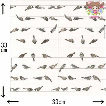 ����ŷ�����ѡ�SALE 20��OFF&�����ݥ�PPD ��Ũ�� �ڡ��ѡ��ʥץ��� �ǥ��ѡ������Ļ�Τ�����٤� ���졼 ��Ļ ưʪ��(Birds)��1��/�Х�����