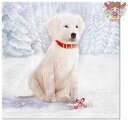 Pippy 2Ź㤨Paw İ ڡѡʥץ ǥѡΡɥå   ץ쥼ȡ(Snow Dog1/ХˡפβǤʤ57ߤˤʤޤ