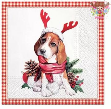 Paw İ ڡѡʥץ ǥѡ󥿥ɥå ȥʥ  ܤä ߤλ ꥹޥ(Santa dog)1/Х