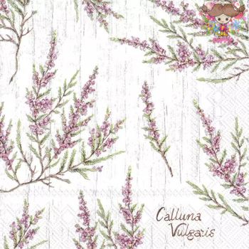 ドイツ IHR☆CALLUNA VULGARIS grey☆（1枚/