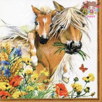 ti-flair ☆Horses in Summer Meadow☆（1枚/