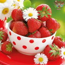 Ambiente ペーパーナプキン☆Strawberries In Bowl☆ （1枚/バラ売り） いちご ストロベリー 写真風 マーガレット 花柄 オランダ 素敵 お洒落 デコパージュ