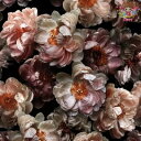 ti-flair ペーパーナプキン☆Victorian Wild Roses☆(1枚/バラ売り)写真風 ビクトリア ワイルドローズ 花柄 デコパージュ 可愛い ...