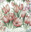 TETE a TETE ڡѡʥץ Bright Tulips 1/Х˥塼å  ڡѡʥץ ǥѡ