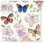 Paw ڡѡʥץOrchidea Butterfly1/Х˸ĳ ĳ 쥬  ǥѡ Ũ ޯ İ ܥ˥ 