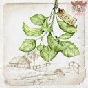 IHR ペーパーナプキン☆BASIL cream☆(1枚/バラ売り)バジル ハーブ ペーパーナプキン デコパージュ 可愛い お洒落 素敵 シック 農家 牧場 ボ...