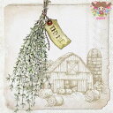 ドイツ IHR ペーパーナプキン☆THYME cream☆(1枚/バラ売り)タイム ハーブ ペーパーナプキン デコパージュ 可愛い お洒落 素敵 シック 小屋 ...