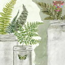 ドイツ IHR ペーパーナプキン☆FERN☆(1枚/バラ売り)シダ植物 グリーン ジャー 蝶 ペーパーナプキン デコパージュ 可愛い お洒落 素敵 華やか シッ...
