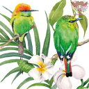 PPD ペーパーナプキン☆Bali☆(1枚/バラ売り)鳥 バリ島 プルメリア 花柄 デコパージュ 可愛い お洒落 素敵