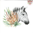 Fasana ペーパーナプキン☆Tropical Zebra☆ (20枚入り)水彩画風 シマウマ 動物 植物 素敵 お洒落 デコパージュ