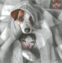 Fasana ペーパーナプキン☆Two Friends☆(20枚入り)写真風 犬 ドッグ ネコ キャット 可愛い 動物 素敵 デコパージュ
