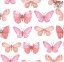 ڥƥ륵Fasana ڡѡʥץpink butterflies 1/Х(W24cmL24cm) ԥ ĳ  Ũ ޯ ǥѡ