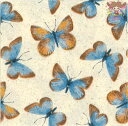 Pippy 2Ź㤨֡ڥƥ륵Fasana ڡѡʥץmorpho butterflies 1/Х(W24cmL24cm ĳ  Ũ ޯ ǥѡפβǤʤ62ߤˤʤޤ