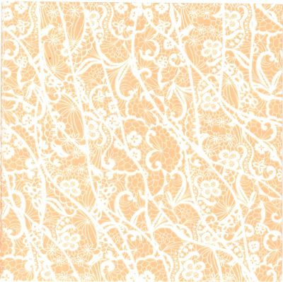 Fasana ペーパーナプキン☆Apricot lace pattern☆（20枚入り）アプリコット レース パターン 素敵 デコパージュ