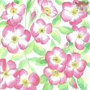 PPD ペーパーナプキン☆Aubépine☆（1枚/バラ売り）オーベピーヌ さんざし ローズ 花柄 パターン デコパージュ