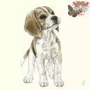 PPD ペーパーナプキン☆Jean☆(1枚/バラ売り)犬 蝶 子犬 友達 デコパージュ