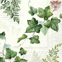 IHR ペーパーナプキン☆ELWIN cream☆(1枚/バラ売り)アイビー 観葉植物 英字 蝶 植物 デコパージュ