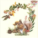 IHR ペーパーナプキン☆SQUIRREL IN THE F