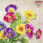 IHR ڡѡʥץPRIMROSE linen1/Х      ǥѡ