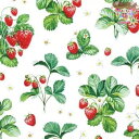 HOME FASHION ペーパーナプキン☆Strawber