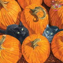 PPD ペーパーナプキン☆Pumpkin Patch Cats☆(1枚/バラ売り)カボチャ かぼちゃ 南瓜 ねこ 猫 ネコ ハロウィン デコパージュ