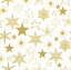 Daisy ڡѡʥץGold Stars1/Х˥ꥹޥ     ǥѡ