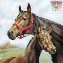 Ambiente ペーパーナプキン☆Horse Love☆ (1枚/バラ売り) 馬 うま ウマ 親子 家族 動物 素敵 お洒落 デコパージュ